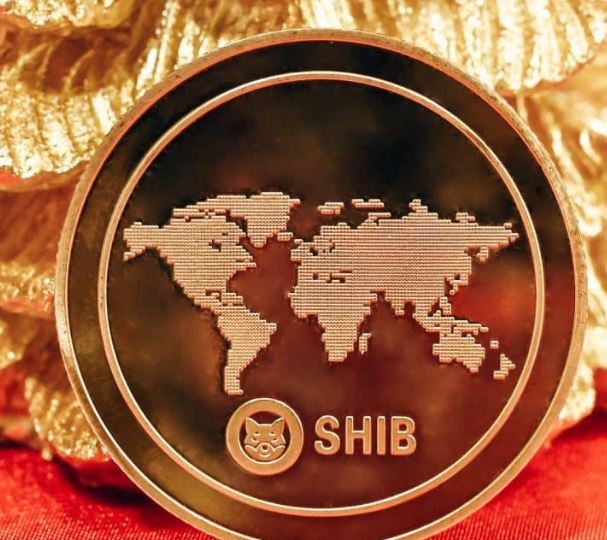 shib coin